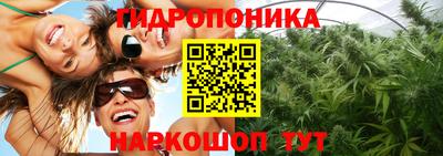 бошки Краснокаменск