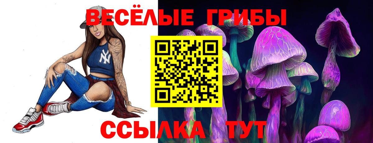 Галлюциногенные грибы Psilocybine cubensis Волжский